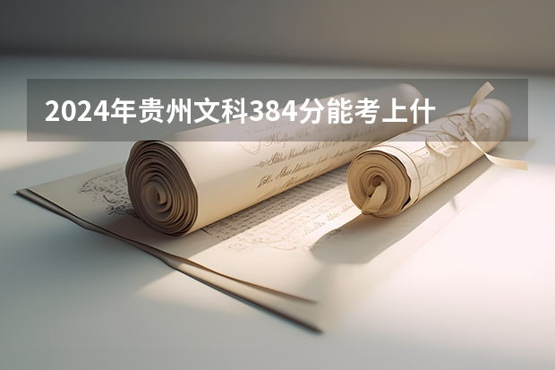 2024年贵州文科384分能考上什么大学？