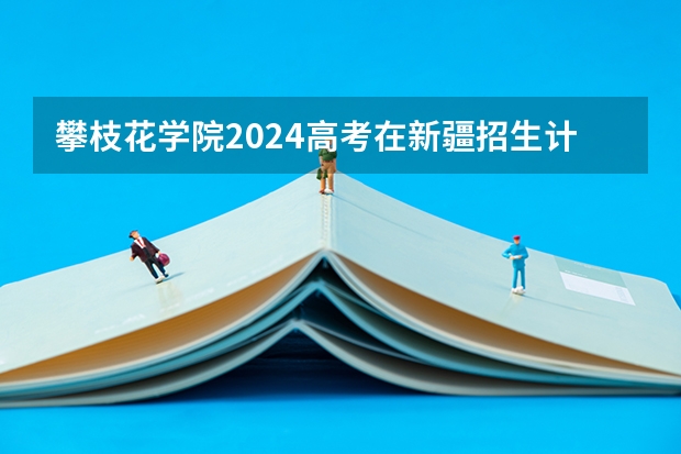 攀枝花学院2024高考在新疆招生计划