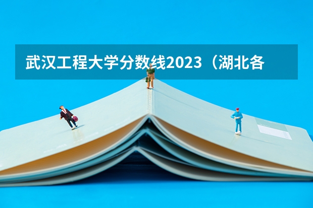 武汉工程大学分数线2023（湖北各高校录取分数线）